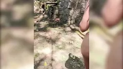 চালান হার্ড ককড স্ট্যালিয়ন পরিত্যক্ত পাবলিক স্পটে তরুণ শ্যামাঙ্গিনী - জুলিয়া ক্যাসাল বিদাসাফাদ